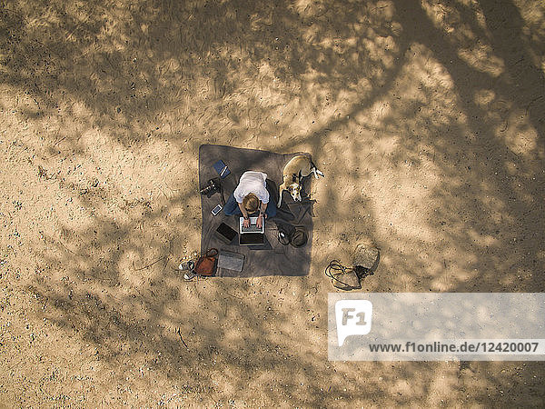 Bird's eye view of woman sitting on blanket with dog using laptop