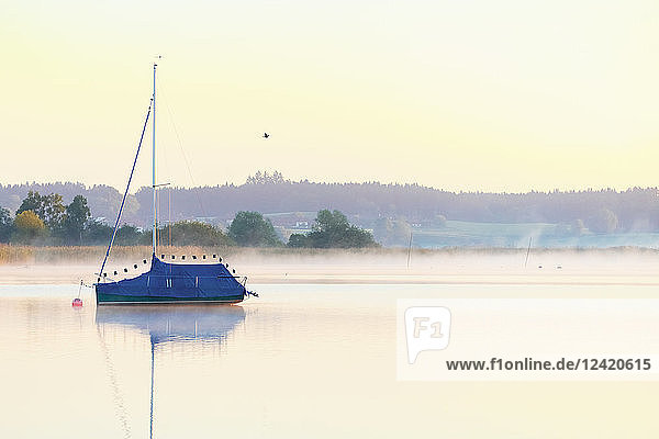 Germany  Bavaria  Chiemsee  covered sailing boat in the evening light