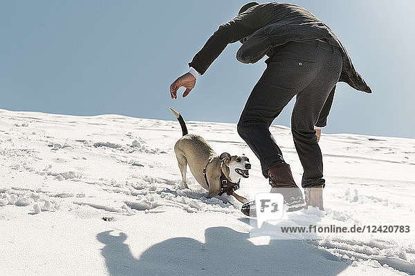 Man playing with dog in winter  having fun in the snow