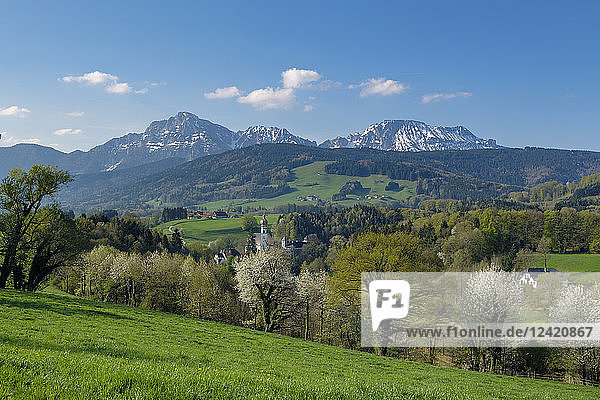 Germany  Bavaria  Upper Bavaria  Chiemgau  Rupertiwinkel  View to former Hoeglwoerth Abbey  Berchtesgadener Alps in the background