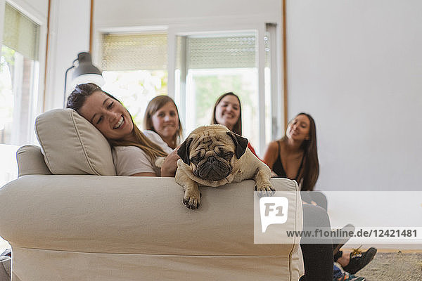 Pug relaxing on couch with four woman in the background
