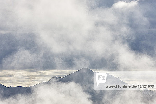 USA  Alaska  Denali National Park  mountains in fog