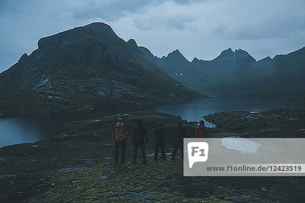 Norway  Lofoten  Moskensoy  Five young man looking at Agvatnet lake at dawn