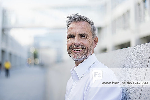 Portrait of smiling businessman with grey hair and beard