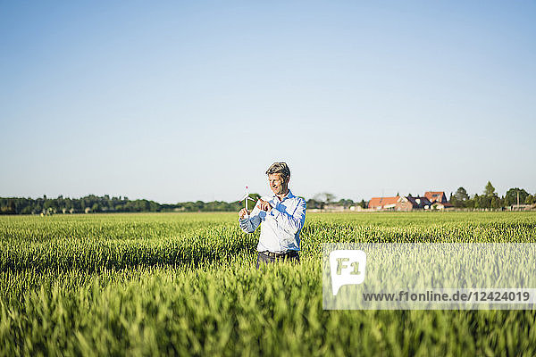 Businessman standing in grain field holding miniature wind wheel