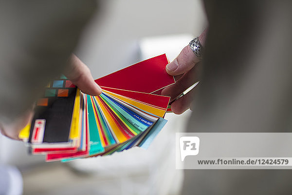 Close-up of man holding colour swatches in office