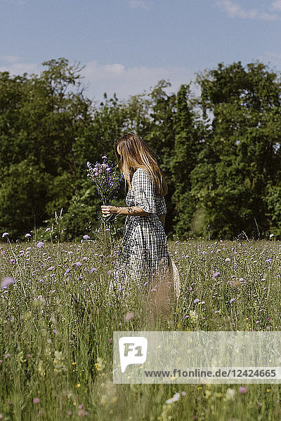 Italy  Veneto  Young woman plucking flowers and herbs in field