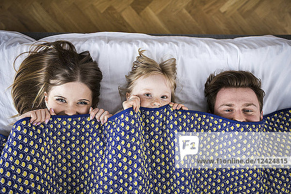 Happy family lying in bed  hiding under blanket