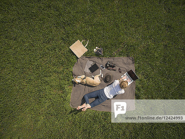 Bird's eye view of woman lying on blanket on meadow with dog using laptop