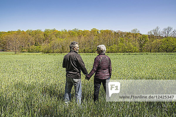 Reifes Paar hält Hände im Feld
