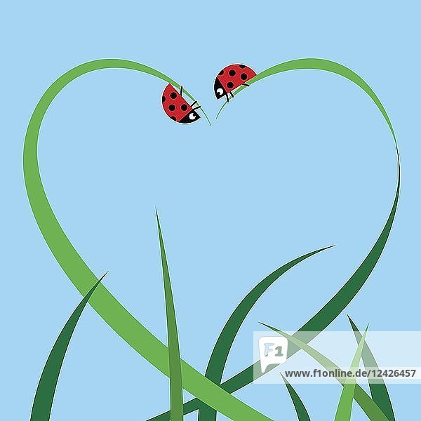 Blades of grass and ladybugs forming heart shape