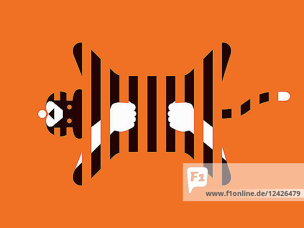 Tiger rug stripes as prison bars