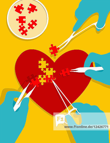 Stem cell jigsaw puzzle pieces mending heart