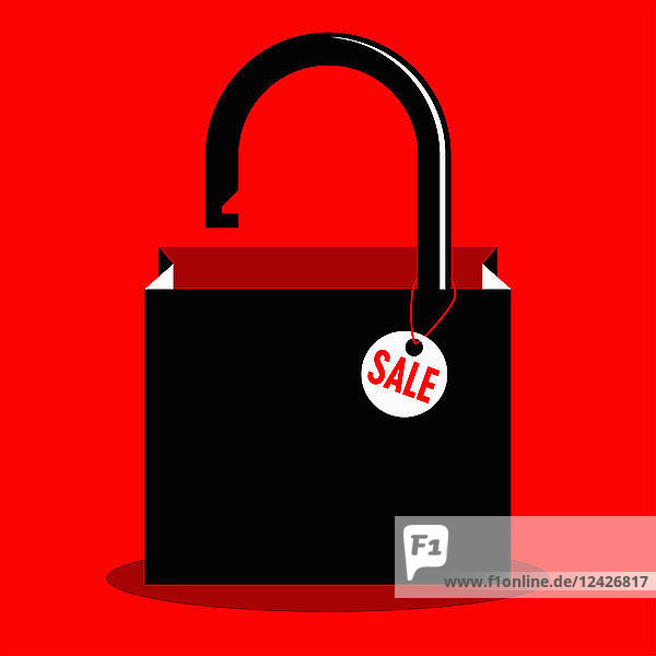 Unlocked padlock on sale shopping bag