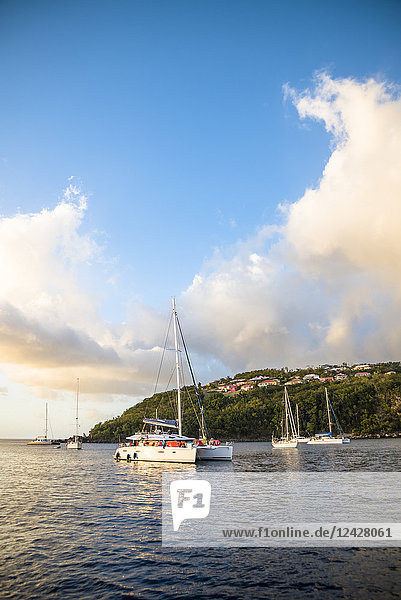 Blick auf die Küstenlinie mit verankerten Segelbooten  Bouillante  Basse Terre  Guadeloupe