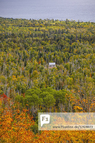Blick auf einen Wald mit Blockhütte  Wanderweg am Oberg Mountain  Tofte  Minnesota  USA
