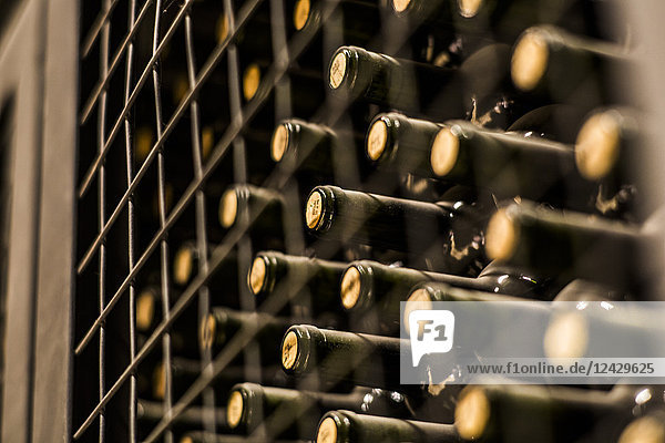 Nahaufnahme von Weinflaschen im Weinkeller  Mendoza  Argentinien