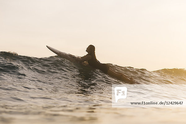 Silhouette of woman surfing at sunset
