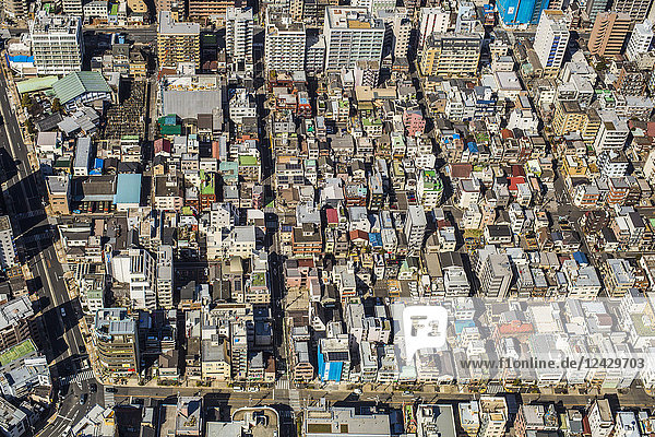 Stadtansicht von Tokio  Japan  aus der Vogelperspektive