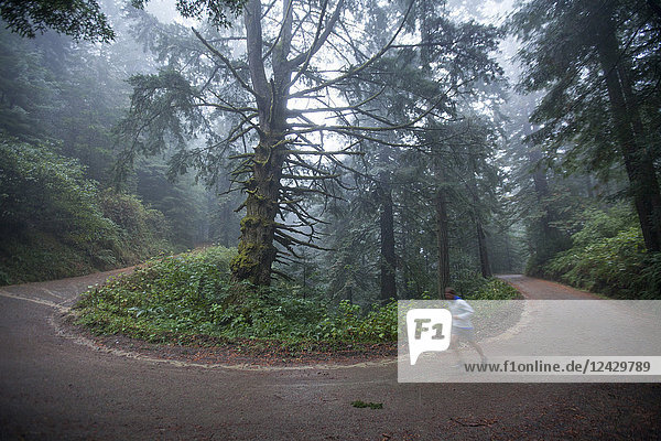Adult man running along a horseshoe shaped section of dirt road in forest near the Lost Coast area  Garberville  Northern California  USA