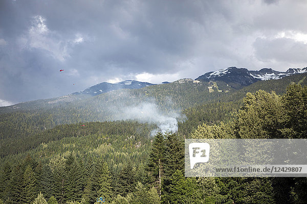 Blick auf Rauch von einem Waldbrand in den Bergen von Whistler  British Columbia  Kanada