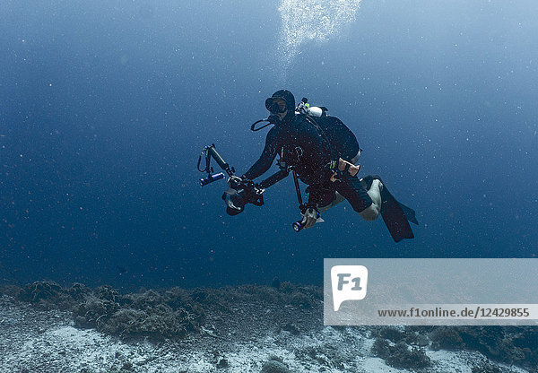 Full length shot of scuba diver filming with movie camera in Tubbataha Reef  Cagayancillo  Philippines