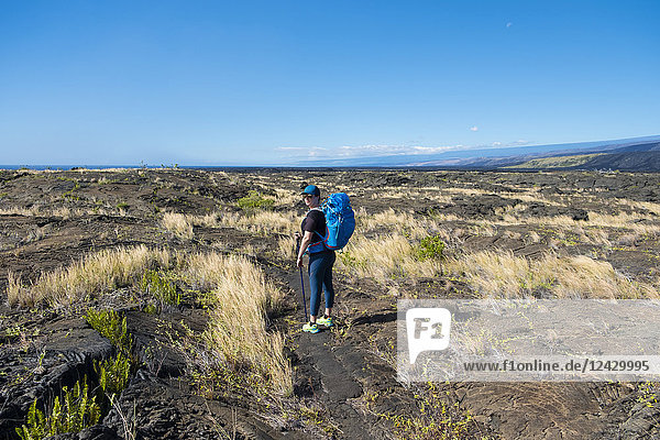Totale Aufnahme einer einzelnen Frau beim Wandern im Hawaii Volcanoes National Park entlang des Puna Coast Trail  Hawaii Islands  USA