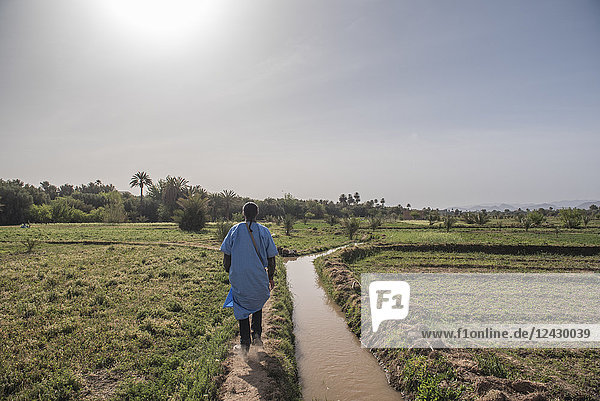 Rückansicht eines lokalen Berber-Reiseleiters  der durch ein Feld in der Nähe von Ouarzazate  Marokko  läuft