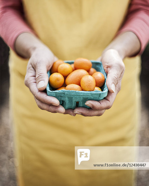 Nahaufnahme aus hoher Perspektive einer Person  die auf einem Obst- und Gemüsemarkt ein Körbchen mit frischen orangefarbenen Tomaten hält.