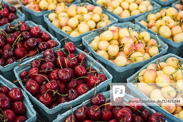 Hochwinkel-Nahaufnahme von Körbchen mit frischen roten und gelben Kirschen auf einem Obst- und Gemüsemarkt.auf einem Obst- und Gemüsemarkt.