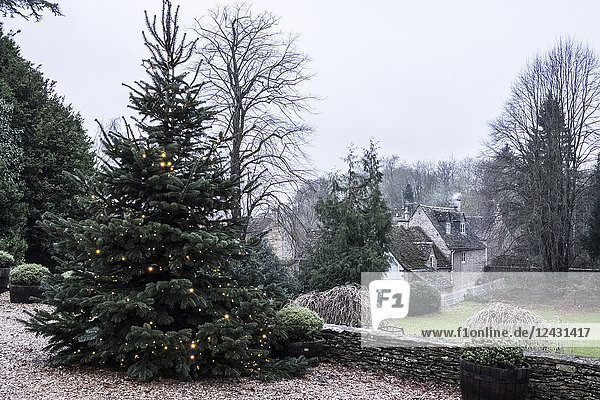 Ein Wintergarten  eine hohe Kiefer mit Lichtern in den Zweigen  Weihnachtsdekoration. Ein traditionelles Steinhaus mit Schieferdach und Rauch  der aus dem Schornstein aufsteigt.