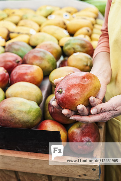 Schrägaufnahme einer Person mit frischer Mango auf einem Obst- und Gemüsemarkt.