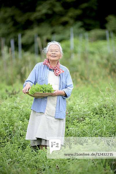 Ältere Frau mit grauen Haaren steht in einem Garten  hält einen Korb mit frischem Gemüse und lächelt in die Kamera.