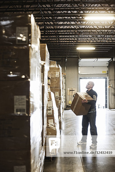 Caucasian male warehouse worker checking inventory on stacks of cardboard boxes holding products in a large distribution warehouse with loading dock door in the background.