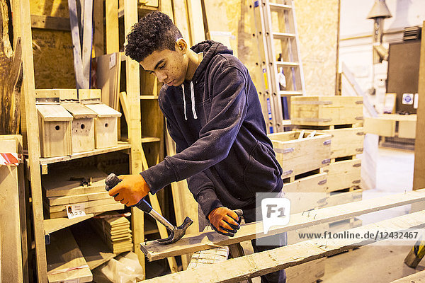 Junger Mann mit Arbeitshandschuhen steht in einem Lagerhaus und entfernt mit einem Hammer rostige Nägel von recycelten Holzbohlen.