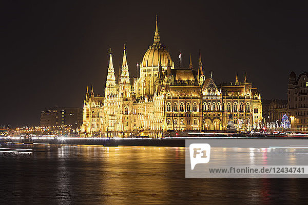 Parliament Building and River Danube at night  Budapest  Hungary  Europe