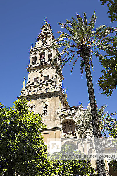 Torre del Alminar Glockenturm der Mezquita vom Patio de los Naranjos aus gesehen  Cordoba  Andalusien  Spanien  Europa