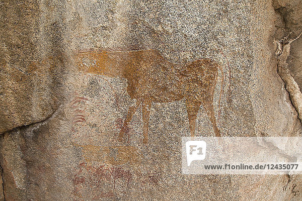 Ancient rock art of a painting depicting an animal at Matobo National Park Zimbabwe Africa