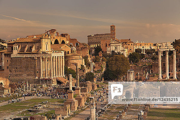 Forum Romanum (Foro Romano)  dahinter das Kolosseum  UNESCO-Weltkulturerbe  Rom  Latium  Italien  Europa