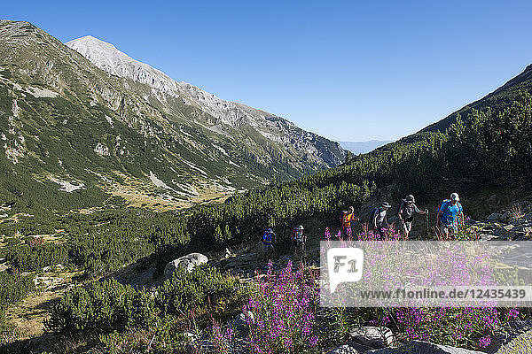 Das Pirin-Gebirge mit dem Vihren-Gipfel in der Ferne  dem höchsten Punkt des Gebirges  Bulgarien  Europa