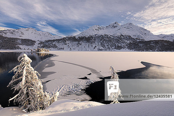 Gefrorener Silsersee  Plaun da Lej  Region Maloja  Kanton Graubünden  Engadin  Schweiz  Europa