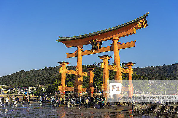 Touristen  die bei Ebbe unter dem Torii-Tor von Miyajima spazieren  Itsukushima  UNESCO-Weltkulturerbe  Präfektur Hiroshima  Honshu  Japan  Asien