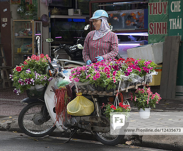 A woman selling pots of petunias from a bicycle in Hoang Hoa Tham Street in Hanoi Vietnam Indochina Southeast Asia Asia