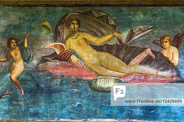 Casa di Venus Fresko der Aphrodite auf einer Muschelschale liegend mit Nymphen im Haus von D. Lucretii Satrii Valentes  Pompeji  UNESCO-Weltkulturerbe  Kampanien  Italien  Europa