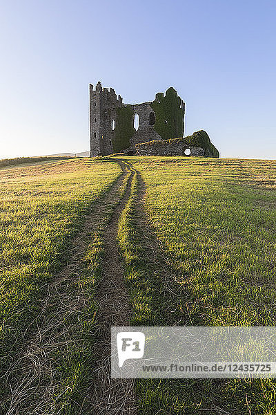 Grasflächen um die Burg Ballycarbery  Cahersiveen  Grafschaft Kerry  Munster  Republik Irland  Europa