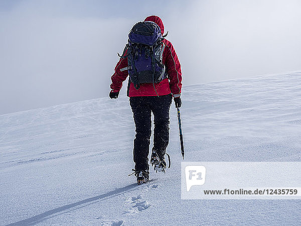 Eine Bergsteigerin beim Überqueren der Schneefelder im Winter im Cairngorm National Park  Schottland  Vereinigtes Königreich  Europa