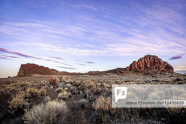 A man stands in sagebrush  looking at a large rock formation during sunrise in the desert  Oregon  United States of America  North America