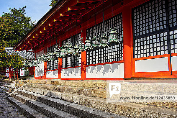 Bronze lanterns at Kasuga Grand shrine (Kasuga-taisha)  UNESCO World Heritage Site  Nara Park  Honshu  Japan  Asia