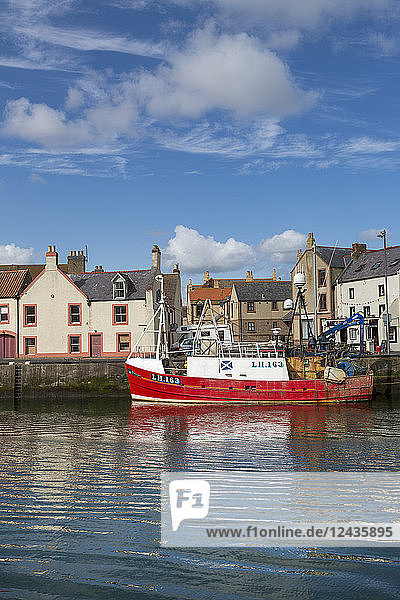 Traditionelles Fischerboot im geschützten Hafen von Eyemouth  Berwickshire  Scottish Borders  Schottland  Vereinigtes Königreich  Europa