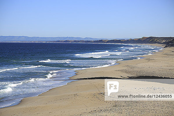 Beach  Monterey Bay  Peninsula  Monterey  Pacific Ocean  California  United States of America  North America